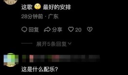 爆料视频的配乐是什么,旋律背后的故事