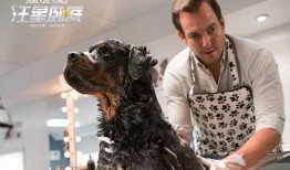 紫狗爆料提前爆料视频播放,提前曝光视频幕后故事