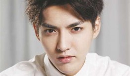 娱乐圈内幕爆料罗云熙,娱乐圈背后的励志传奇