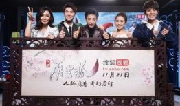 屏里狐电视剧在线观看,穿越时空的奇幻之旅