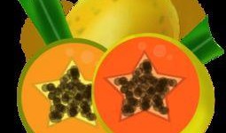 娱乐吃瓜模板图,揭秘明星们的幕后故事与精彩瞬间