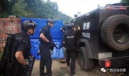 泰安警方爆料勇士视频,勇士视频背后的真相曝光