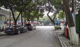 桂林榕荫路最新爆料,老街新颜绽放魅力