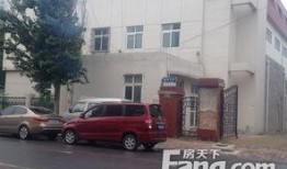 天津爆料红旗南路事件视频,惊心动魄的现场直击