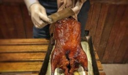 鸭王小视频在线观看,趣味横生的短视频盛宴