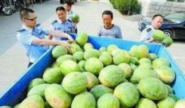 邳州网红吃瓜群微信,揭秘网络社交圈的趣味与争议