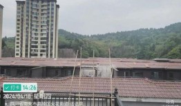 南充嘉陵区最新爆料,揭秘区域发展新动态