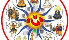 六道老子的爆料视频,神秘内幕大公开