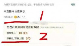 今日关注爆料辛巴818,揭秘背后真相与影响