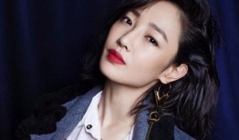 刘晨爆料倪海杉视频播放,真相与争议