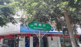 桂林榕荫路最新爆料,老街新颜绽放魅力