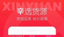 今日关注爆料辛巴818,揭秘背后真相与影响