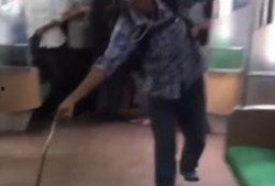 火车上有蛇在线观看,蛇影重重，揭秘神秘蛇行之旅