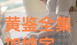 全黄在线观看,揭秘网络色情内容的传播与监管