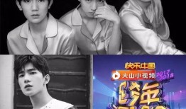 明星爆料蓝台视频大全,明星爆料背后的精彩瞬间