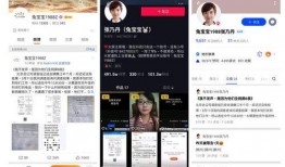 张乃丹爆料财经视频全集,深度解析财经领域热点与趋势