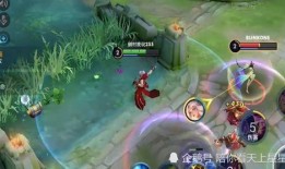 王者法师爆料视频,爆料视频深度解析