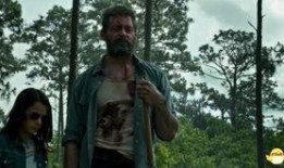 金钢电影在线观看国语,在线观影，重温经典国语魅力