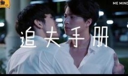 同居指南在线观看,揭秘现代情侣生活必备攻略