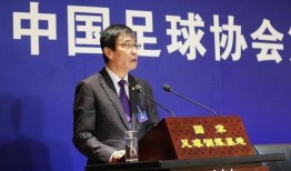 足协张力最新爆料,最新爆料揭示足球界内幕