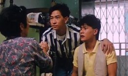 朋党在线观看,揭秘网络世界的党派纷争