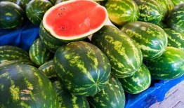 哪种地方可以吃网红瓜,探寻各地特色小吃