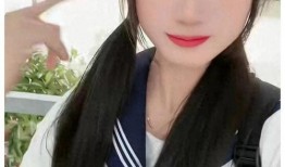 刘晨爆料倪海杉视频播放,真相与争议