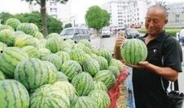 邳州网红吃瓜群微信,揭秘网络社交圈的趣味与争议