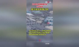 海洋最新爆料消息新闻,最新海洋发现揭示神秘海底世界