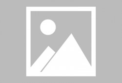 化身在线观看,虚拟世界中的真实探索之旅