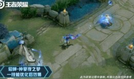 仲夏夜优化的最新爆料,揭秘最新爆料背后的惊喜与期待